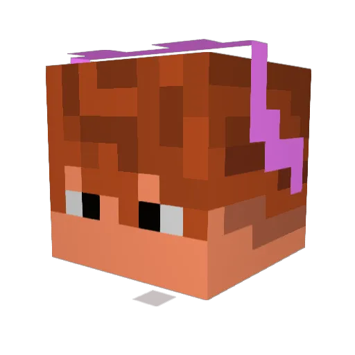 aadriansinn Minecraft avatar head, 3D render