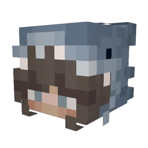 aahhbee Minecraft avatar head, 3D render