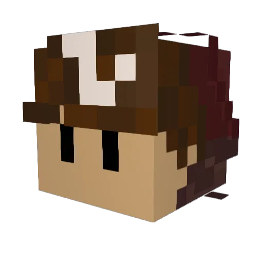 aajjaayy_ Minecraft avatar head, 3D render