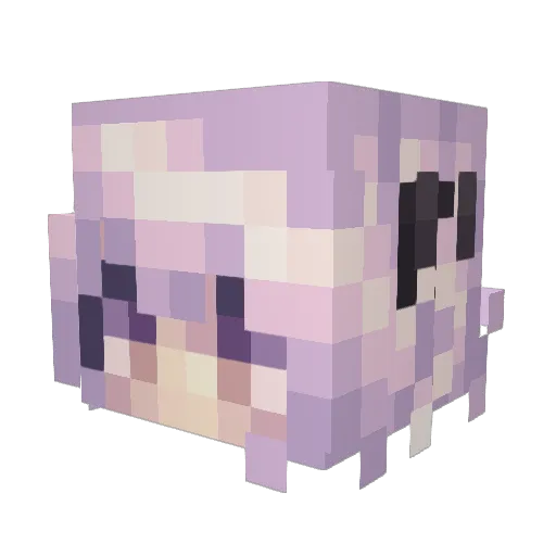 aajunz Minecraft avatar head, 3D render