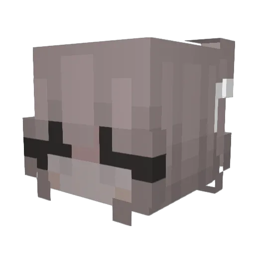 aakirq Minecraft avatar head, 3D render