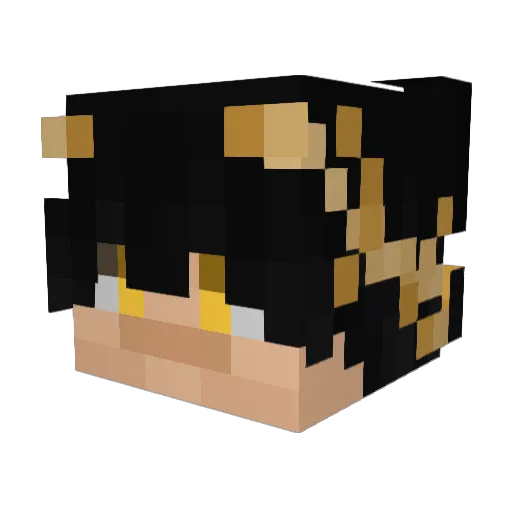 aakurasu Minecraft avatar head, 3D render