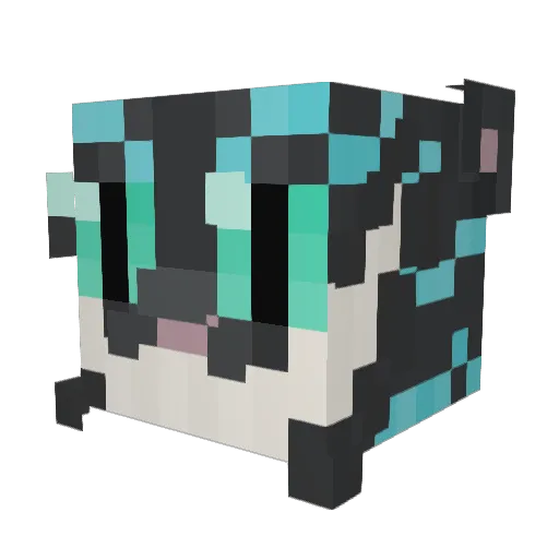 aalan66 Minecraft avatar head, 3D render