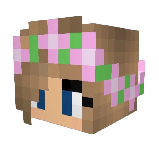 aalexx_x Minecraft avatar head, 3D render