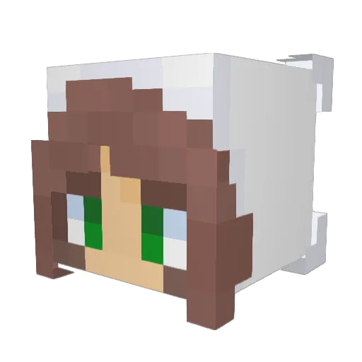 aaliyahskye Minecraft avatar head, 3D render