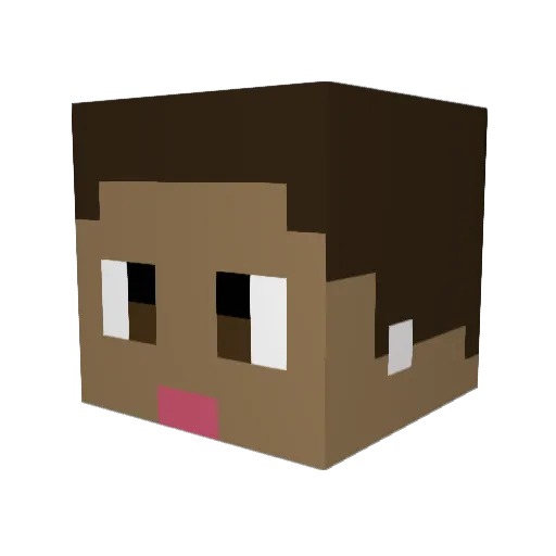 aam3r Minecraft avatar head, 3D render