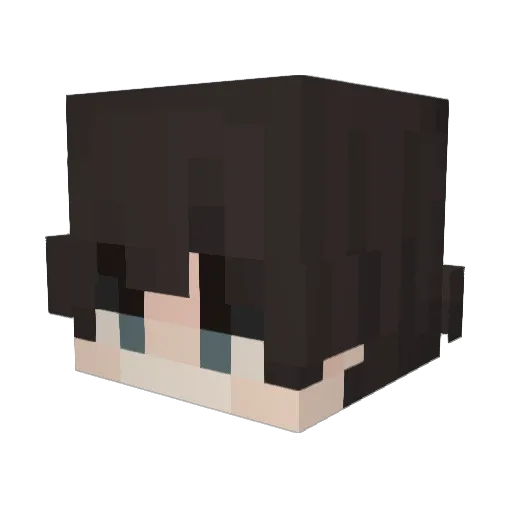 aamanee Minecraft avatar head, 3D render