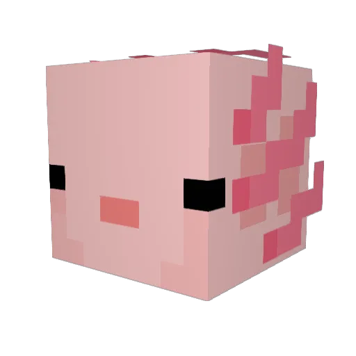 aamirXD Minecraft avatar head, 3D render