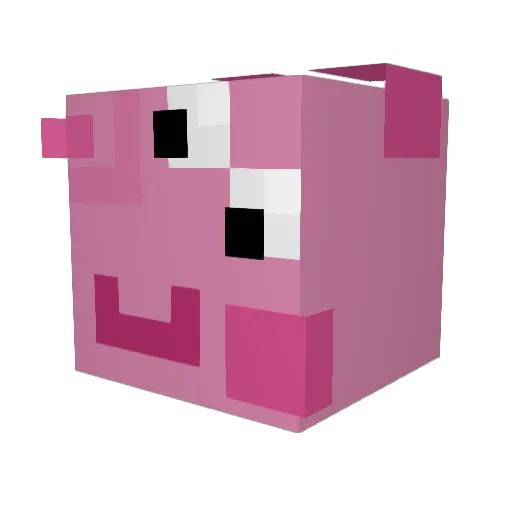 aamlet Minecraft avatar head, 3D render