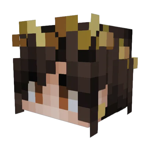aamz416 Minecraft avatar head, 3D render