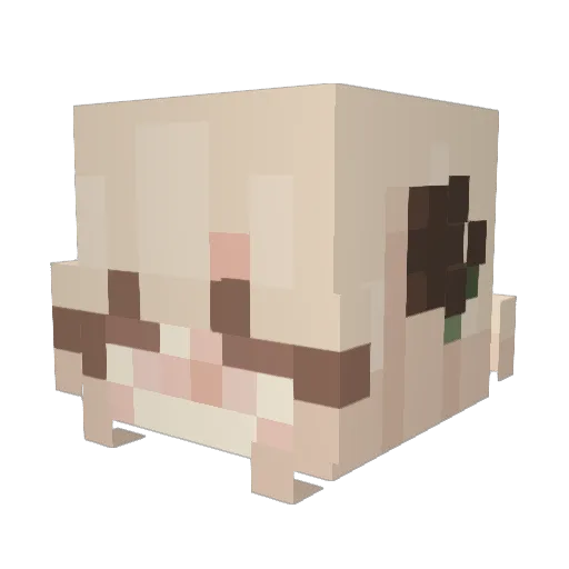 aandiiiii Minecraft avatar head, 3D render