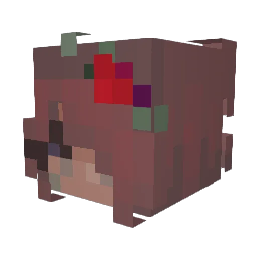 aandorea Minecraft avatar head, 3D render