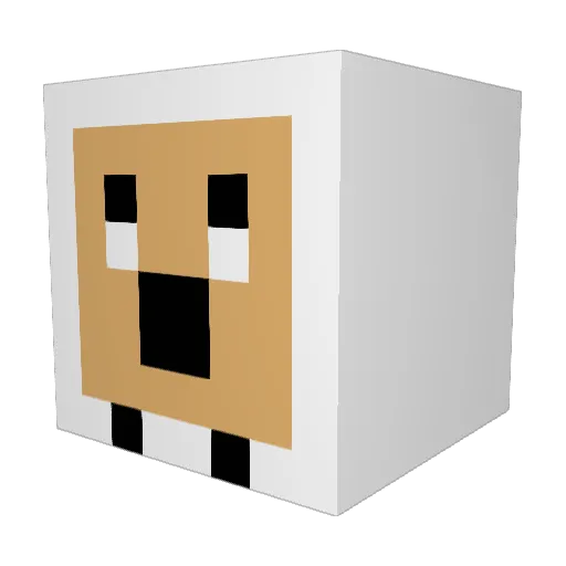 aandyy1 Minecraft avatar head, 3D render
