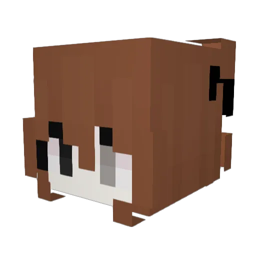 aanea Minecraft avatar head, 3D render