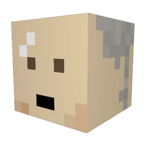 aanitraaM Minecraft avatar head, 3D render