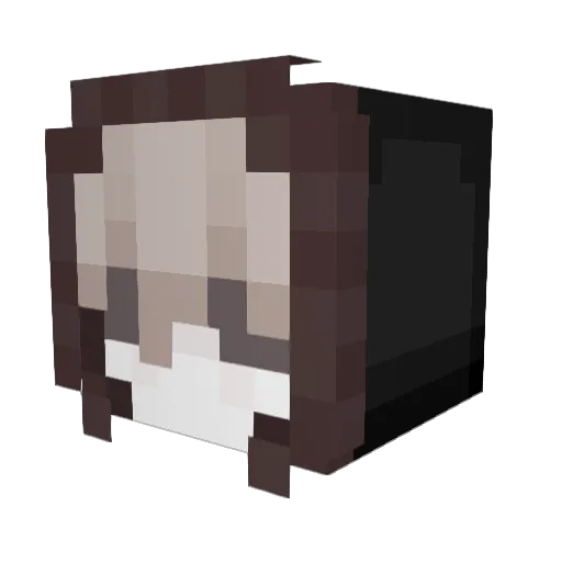aapathies Minecraft avatar head, 3D render