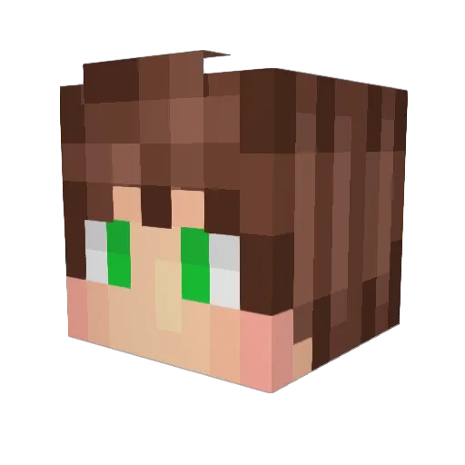 aappoo12 Minecraft avatar head, 3D render