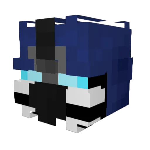 aarnav2408 Minecraft avatar head, 3D render