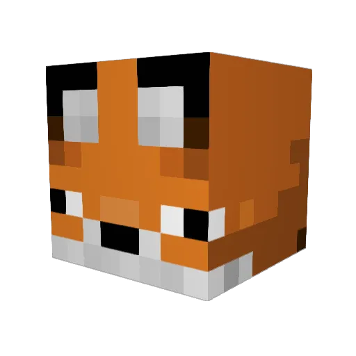 aarne21 Minecraft avatar head, 3D render