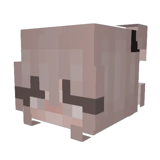 aaro95 Minecraft avatar head, 3D render