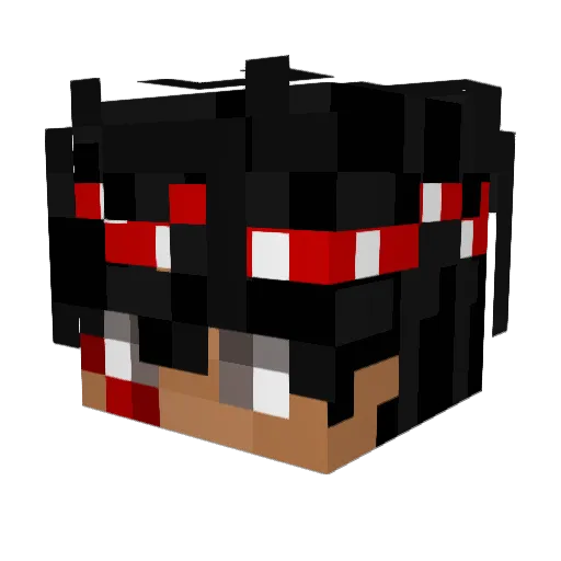 aaron20111 Minecraft avatar head, 3D render