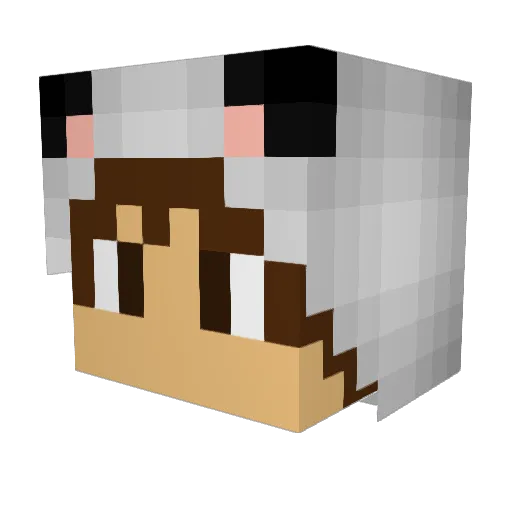 aarondaface Minecraft avatar head, 3D render
