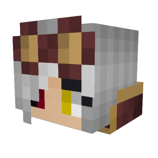 aaronjellyfish Minecraft avatar head, 3D render
