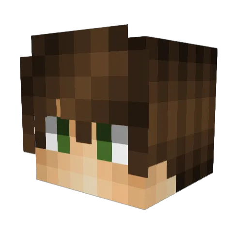 aaronpoliunas Minecraft avatar head, 3D render