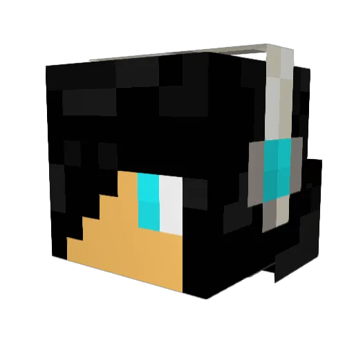 aarontoby999 Minecraft avatar head, 3D render