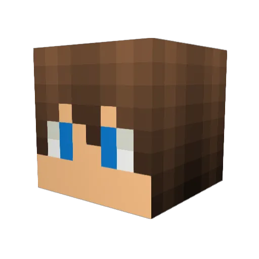 aaronwro Minecraft avatar head, 3D render