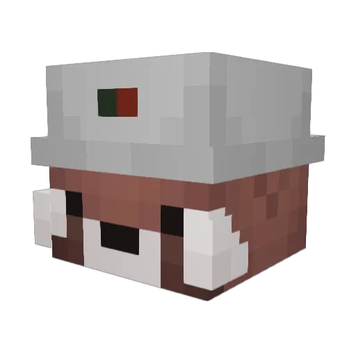 aaryanop123 Minecraft avatar head, 3D render