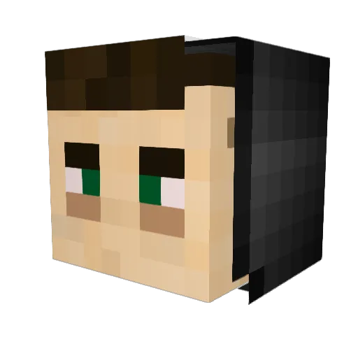 aash_7 Minecraft avatar head, 3D render