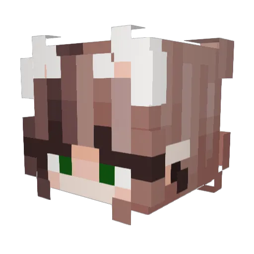 aasokee Minecraft avatar head, 3D render
