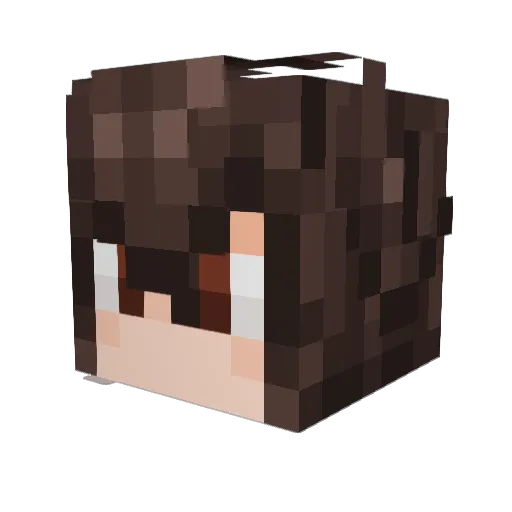 aassdd22254 Minecraft avatar head, 3D render