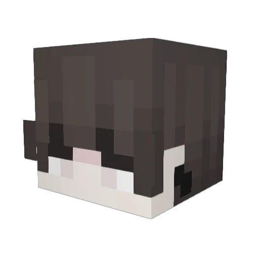 aatchu Minecraft avatar head, 3D render