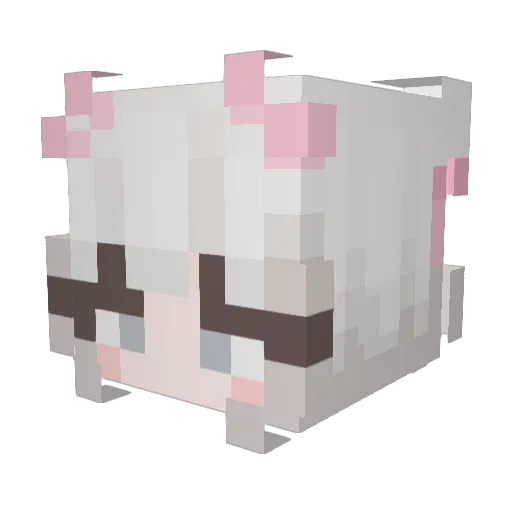 aatn Minecraft avatar head, 3D render