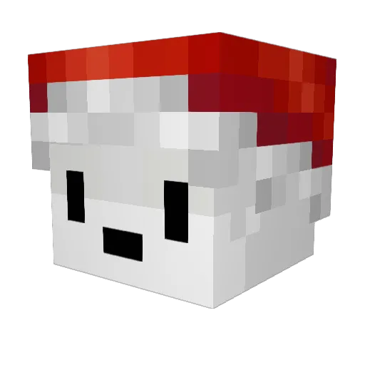 aatran Minecraft avatar head, 3D render