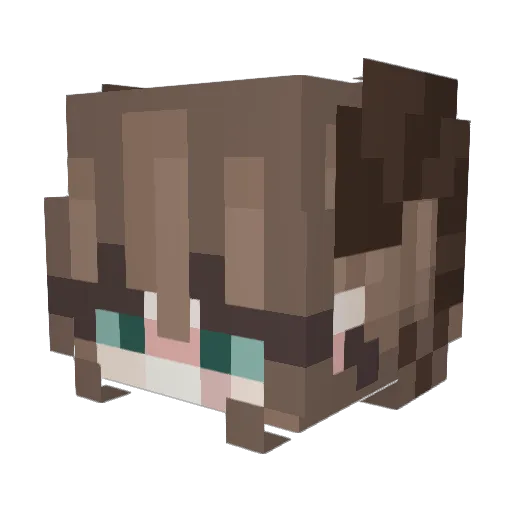 aaujion Minecraft avatar head, 3D render
