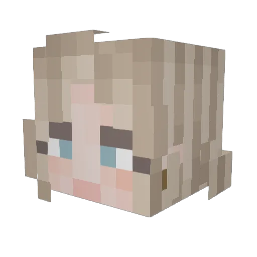 aawkaa Minecraft avatar head, 3D render