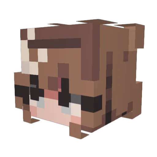 aaxol Minecraft avatar head, 3D render