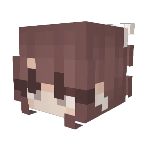 aaxpen Minecraft avatar head, 3D render