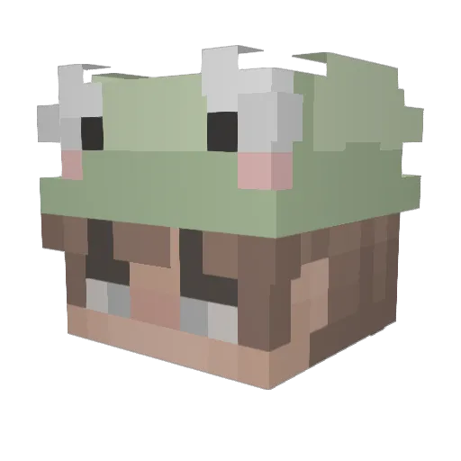 aayan786 Minecraft avatar head, 3D render