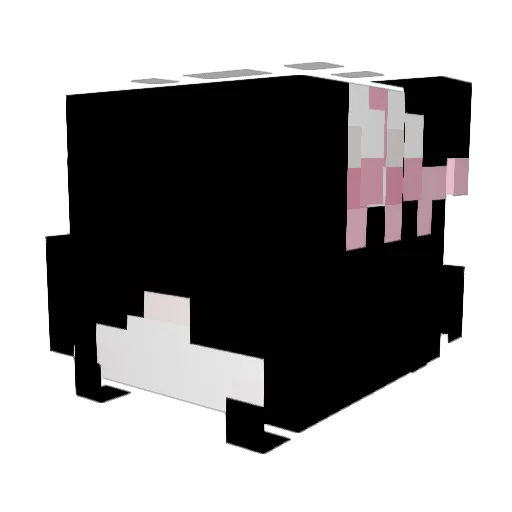 aayelen Minecraft avatar head, 3D render