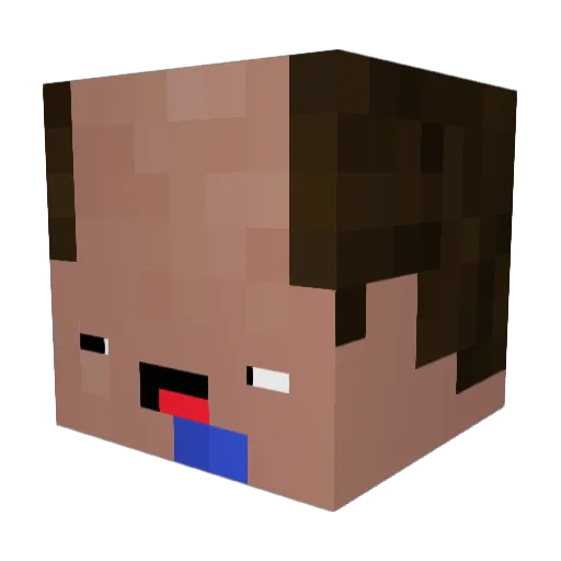 aayg Minecraft avatar head, 3D render