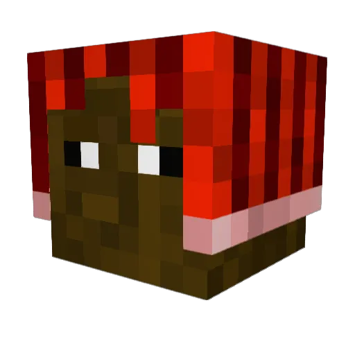aayubeats Minecraft avatar head, 3D render