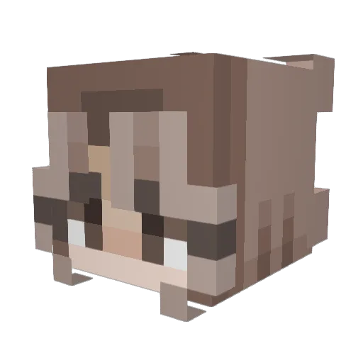ab_dawggg Minecraft avatar head, 3D render