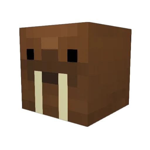 abaszym Minecraft avatar head, 3D render