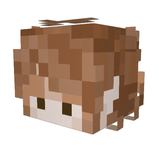 abbeyylope Minecraft avatar head, 3D render