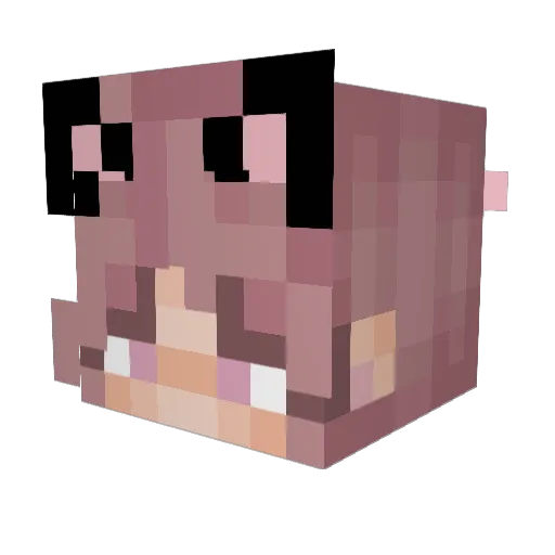 abbie1201 Minecraft avatar head, 3D render