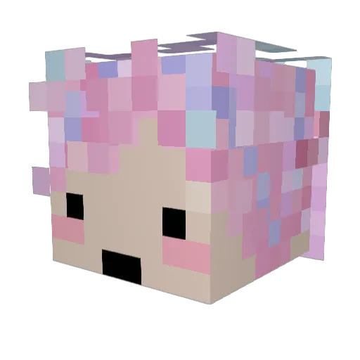abbiebo Minecraft avatar head, 3D render